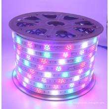 Новые декоративные освещение Сид smd2835 светодиодные полосы света оптовая